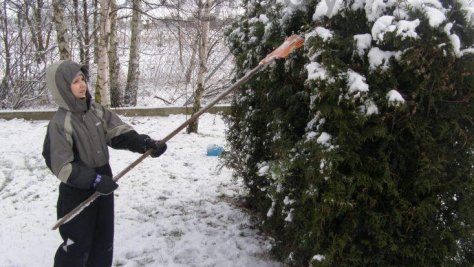 Jak chronić rośliny przed śniegiem?
